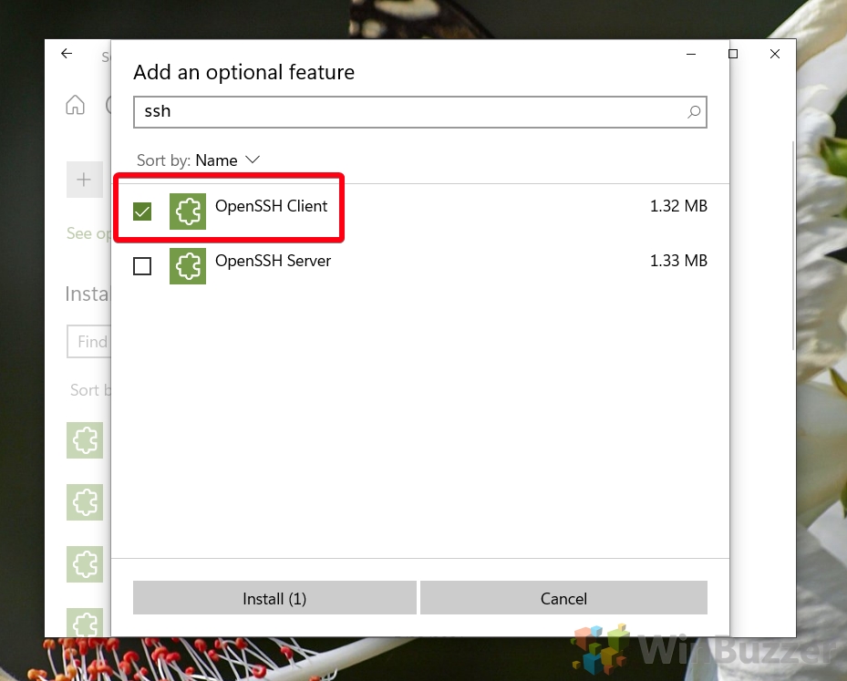 Windows 10 - installa an optional feature - openSSH