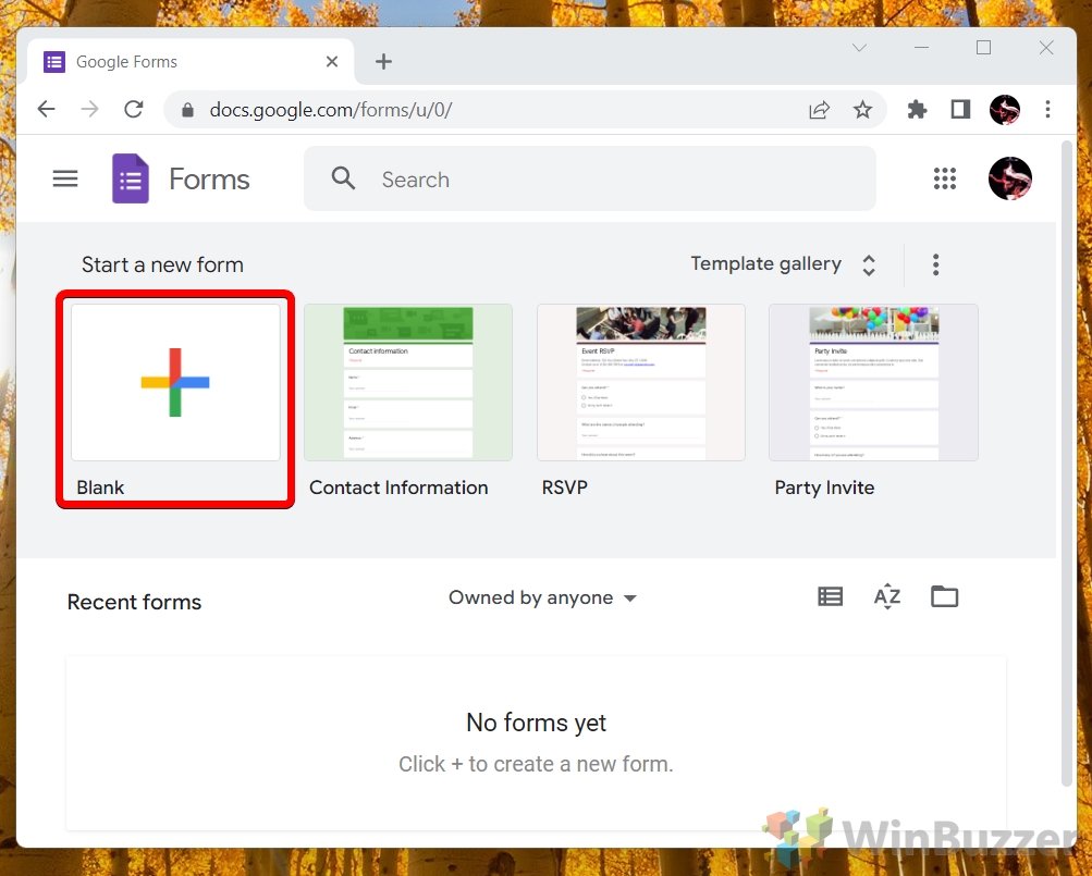 Windows 11 - Google Forms - Add Blank