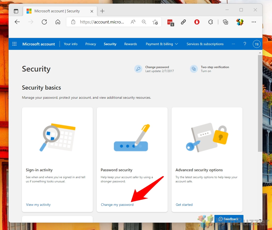 Windows 11 - Microsoft Account Security Page - Change my Pass