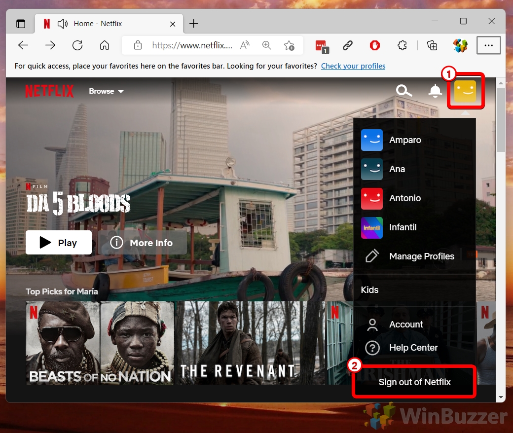 Windows 11 - Netflix.com - Profile Icon - Sign Out