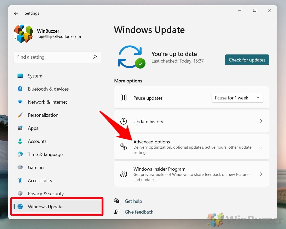 Windows 11 - Settings - Windows Update - Advanced Options