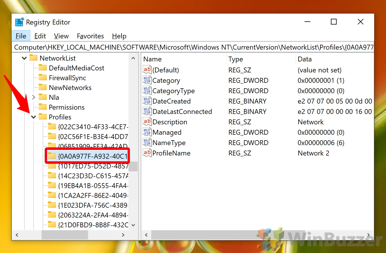 Windows 10 - Registry Editor - Go to the Path - Arrow Profiles - Click on Profile