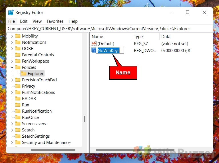 Windows 11 - Registry Editor - Explorer - New DWORD - Name - NoWinKeys