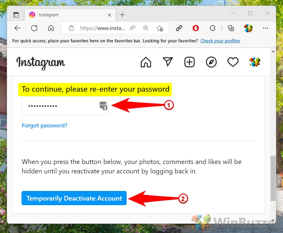 Windows 11 - Instagram - Profile Picture - Profile - Edit Profile - Deactivate Account - Reason - Password - Confirm