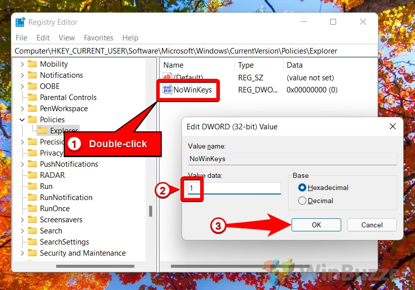 Windows 11 - Registry Editor - Explorer - DWORD - NoWinKeys - Value Data 1 - Accept