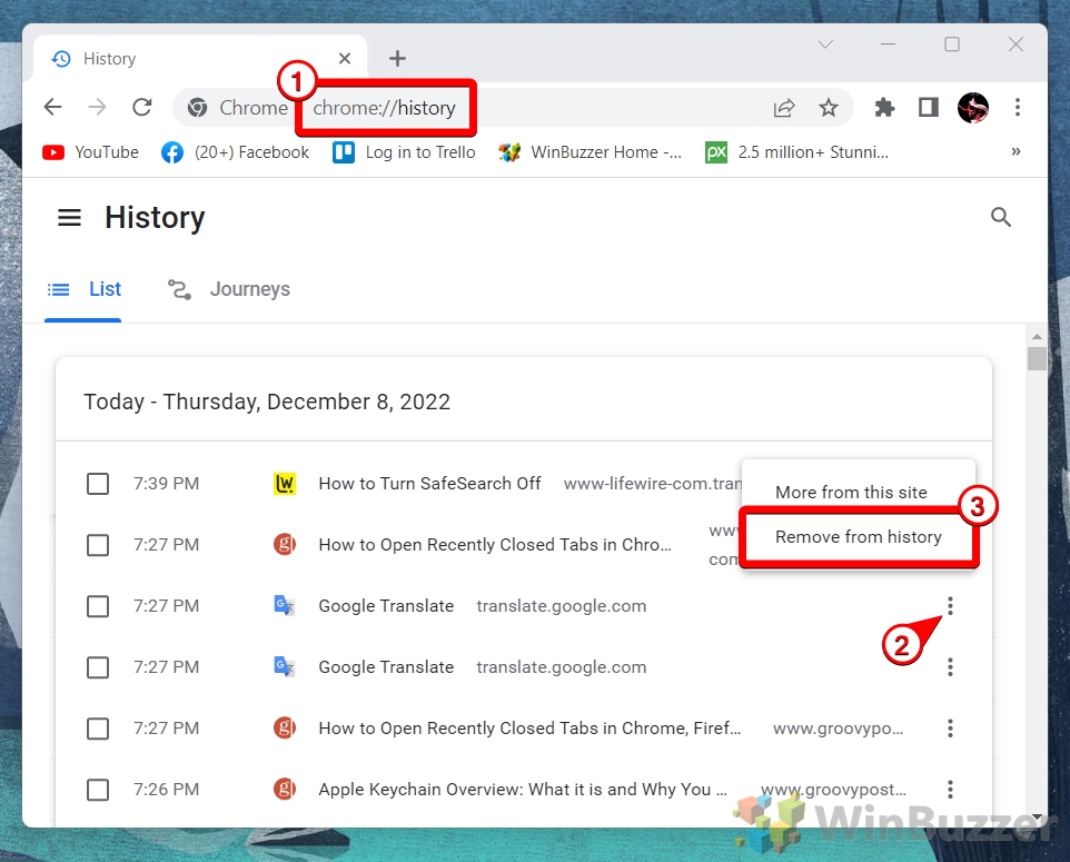 Windows 11 - Google Chrome - Chromehistory - Remove from History