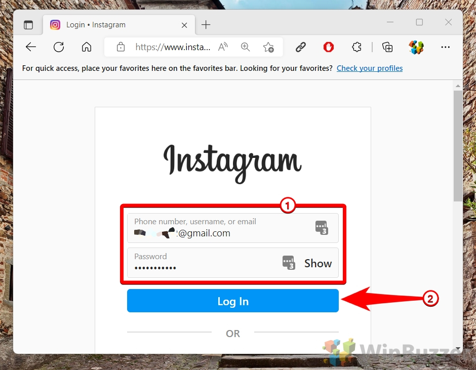 Windows 11 - Instagram - Credentials - Log In