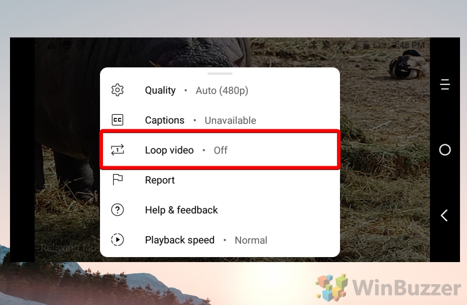 Android - Youtube App - Video - Settings - Turn On Loop Video