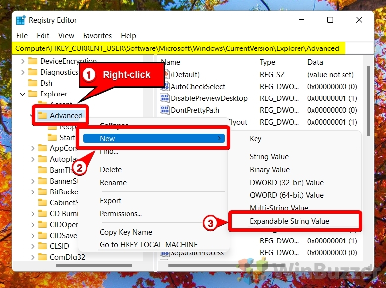 Windows 11 - Registry Editor - Advanced - New Expandable String Value