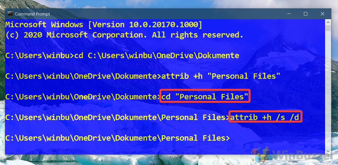 Windows 10 - Command Prompt - Type the Commands to Navigate to the folder and to Hide Everything Inside