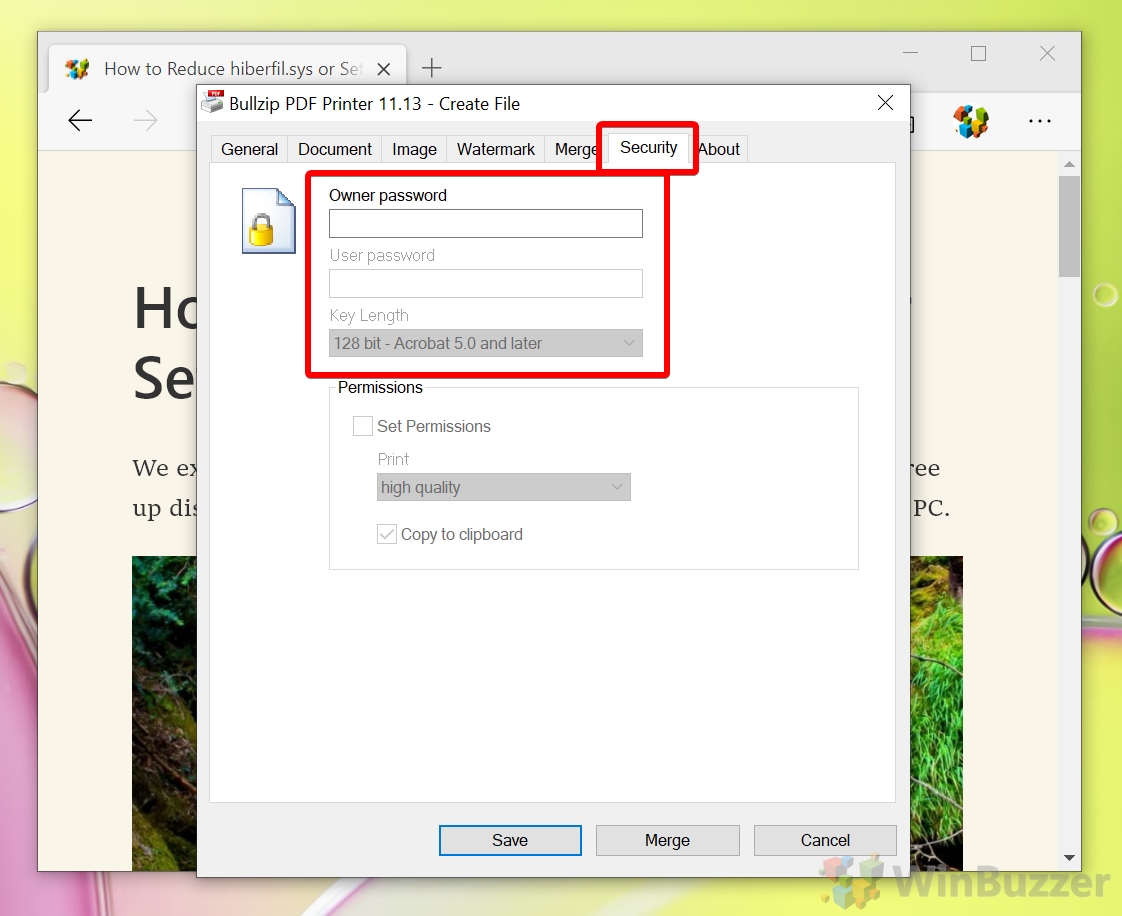 Windows 10 - Bullzip PDF Printer - Set password