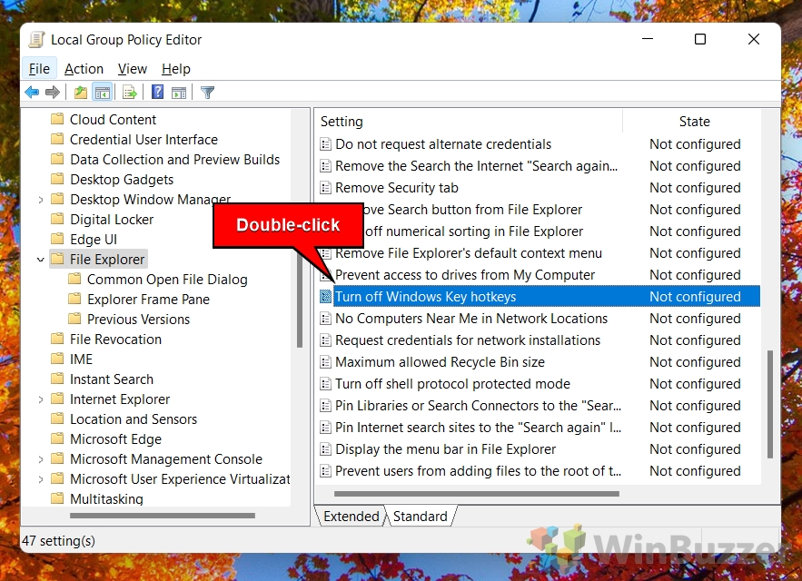 Windows 11 - Gpdit - File Explorer - Open Turn Off Hotkeys