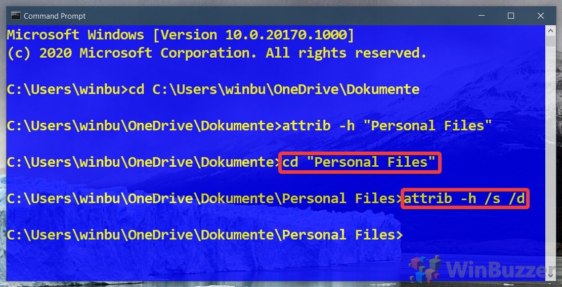 Windows 10 - Command Prompt - Type the Commands to Navigate to the folder and to Make Everything Inside Visible