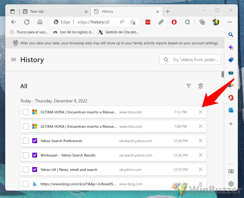 Windows 11 - Edge - Menu - History - History - Filter Delete