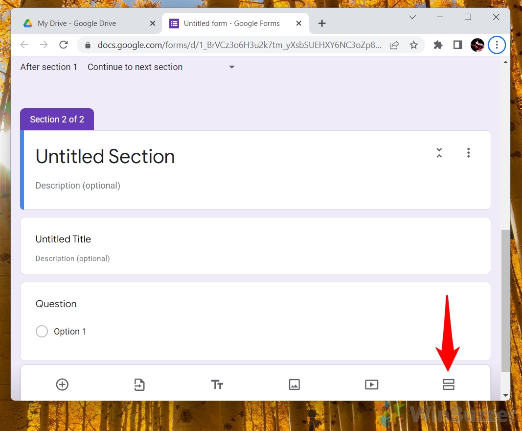 Windows 11 - Google Forms - Add Section