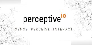 Perceptive IO logo own collage